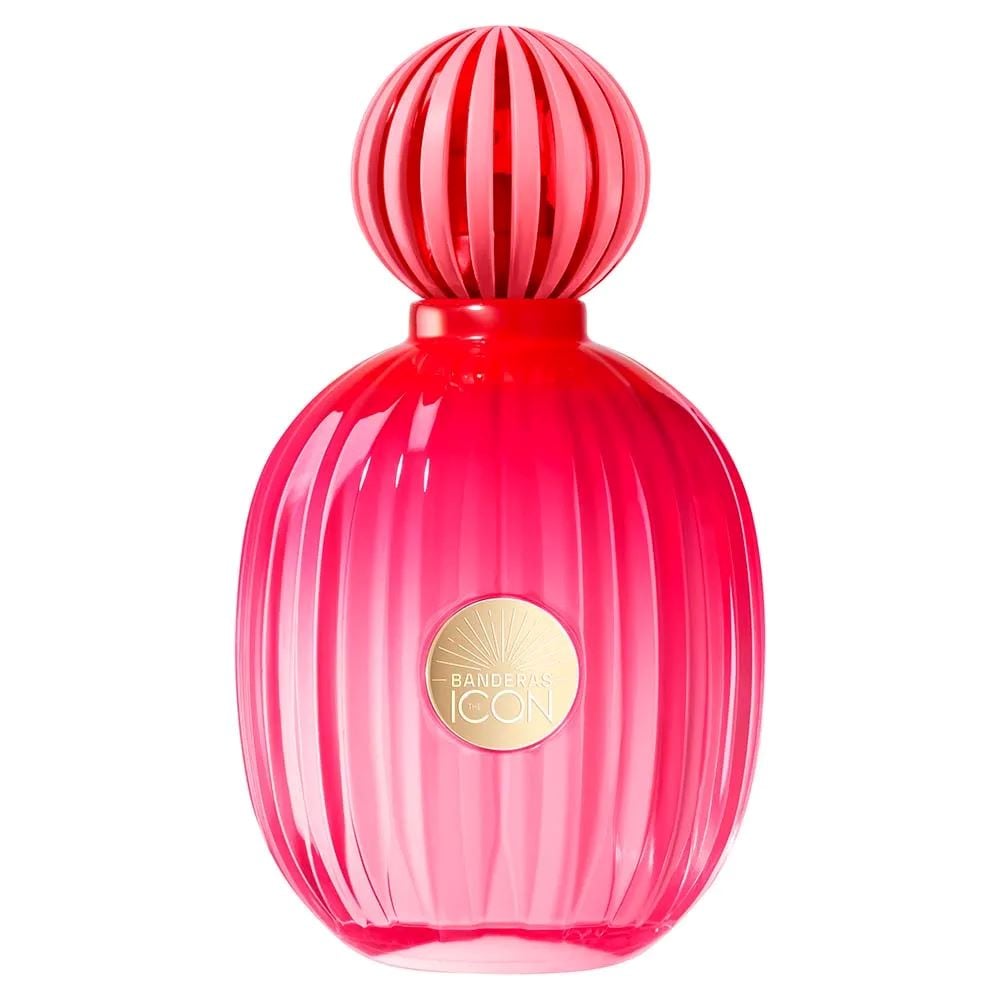 Perfume The Icon Antonio Banderas 100ml | Aroma marcante | Flávio's Calçados