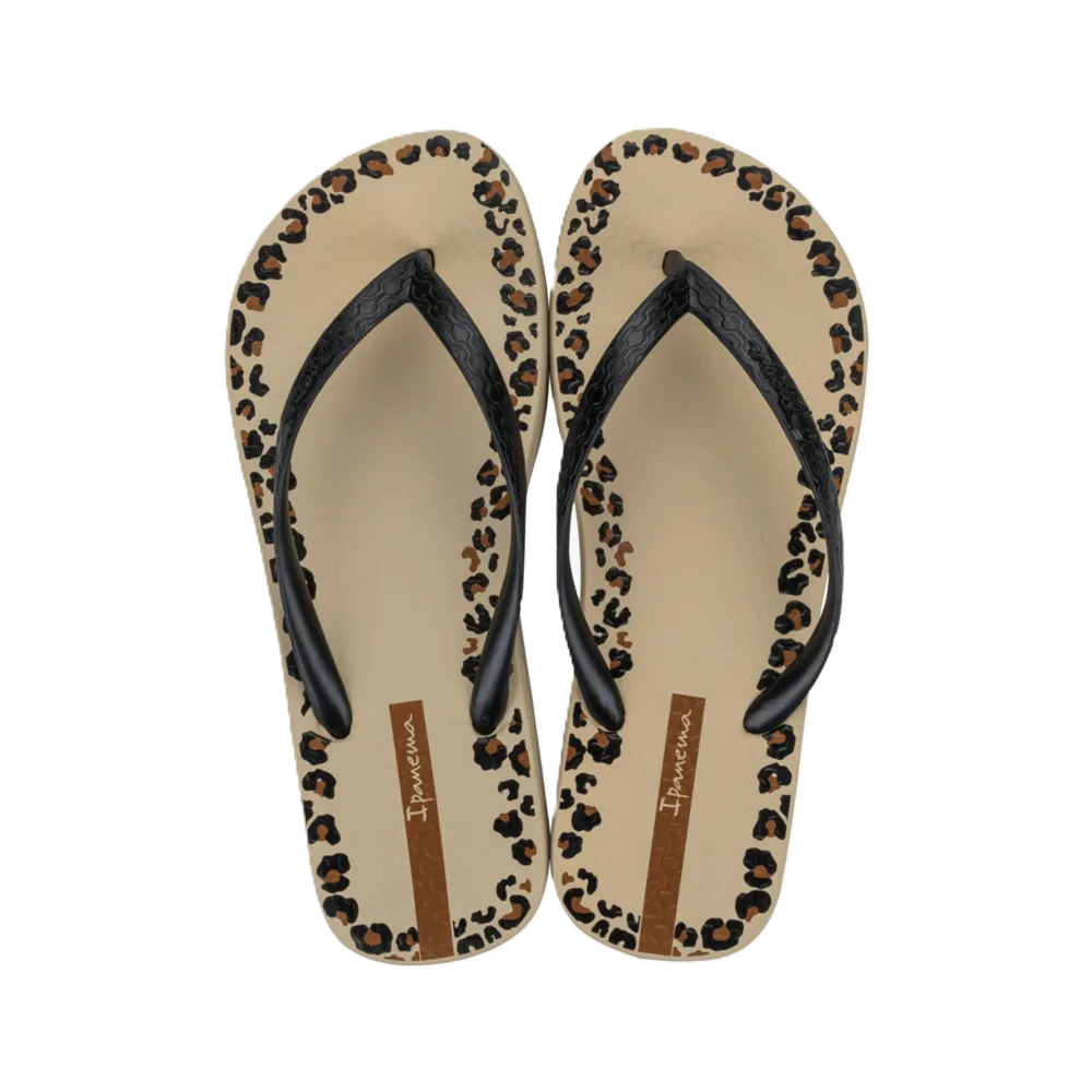 Imagem do produto Chinelo Feminino Ipanema - 27321-BG904